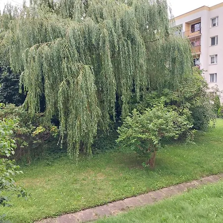 Willow Gdynia Exterior foto