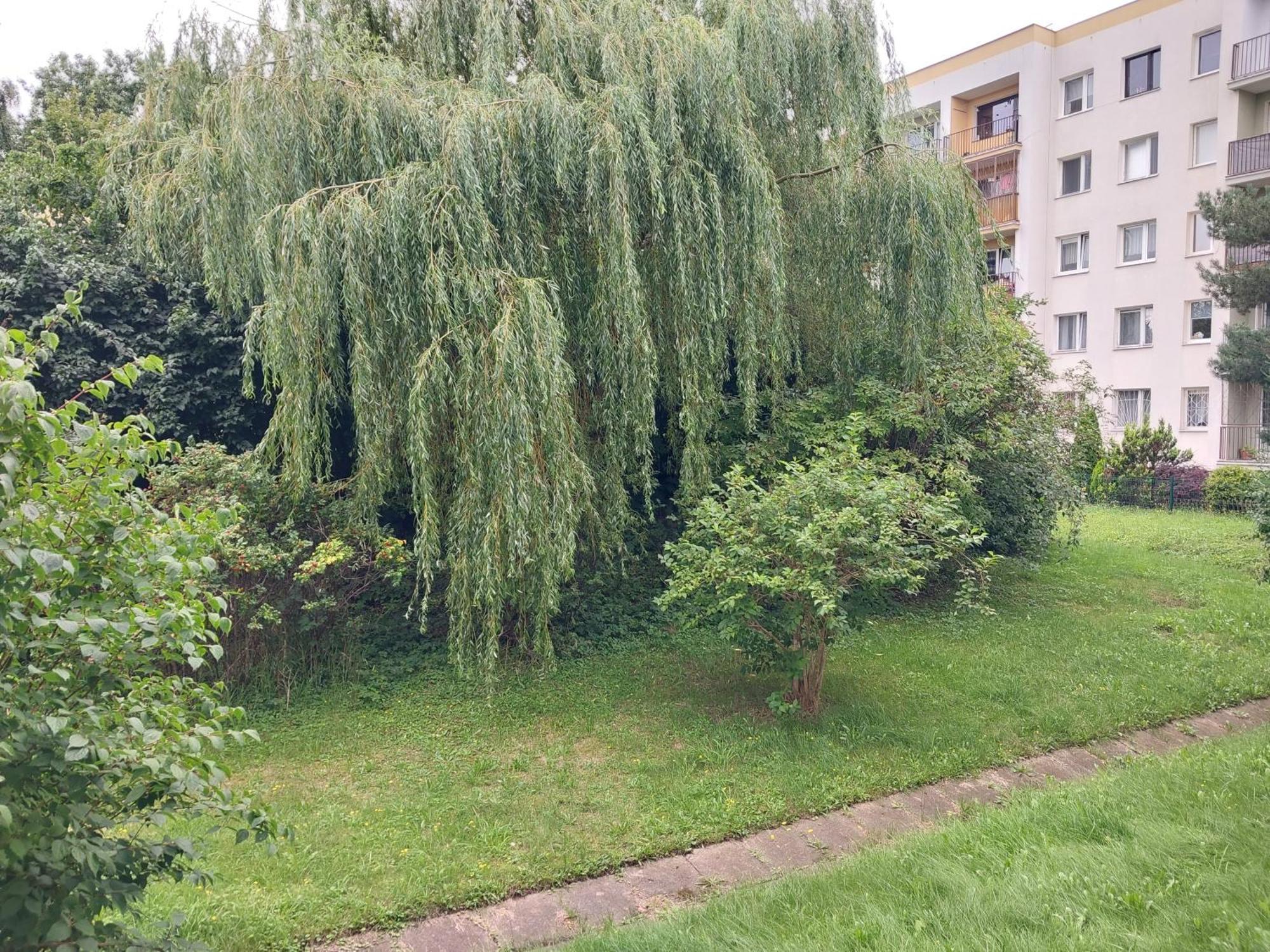 Apartment Willow Gdynia